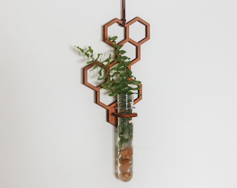Honeycomb Hanging Plant Propagation Station - Three Sizes to Choose From - Gifts For Plant Lovers