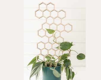 Honeycomb Plant Trellis: Wooden Indoor Plant Support (18.5 inches) Houseplant Gift Ideas