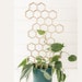 see more listings in the Tall Plant Trellises section