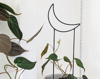 Crescent Moon Trellis, Indoor and Outdoor Plant Support - 18" x 6" - Gift for a Plant Lover