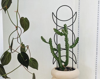 Metal Moon Phase Plant Trellis - Plant Lover Gift, Stylish Support for Your Plants - 21" x 6"