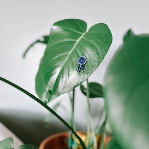 Imán de plantas - Cinta de hojas nuevas - Idea de regalo para amantes de las plantas y relleno de medias para las fiestas