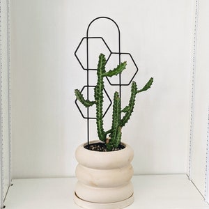 Metal Honeycomb Trellis, Indoor and Outdoor Plant Support - 21&quot;x6&quot; - Plant Lover Gift