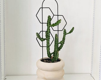 Metal Honeycomb Trellis, Indoor and Outdoor Plant Support - 21"x6" - Plant Lover Gift