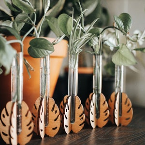 Plant Propagation Station for Small Cuttings - Tabletop Monstera Leaf - Plant Lover Gifts