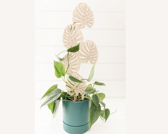 Enrejado para plantas de hojas de monstera: soporte para plantas altas de interior.