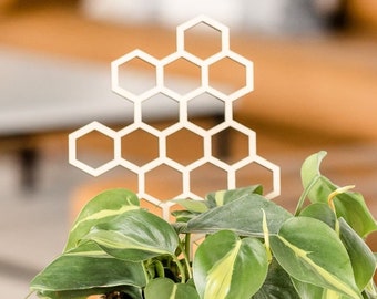 Minimalist Philodendron Plant Trellis Support - Etsy