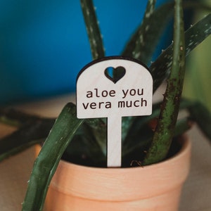 Aloe you vera much, Garden Sign Plant Lover Gifts Blonde Wood
