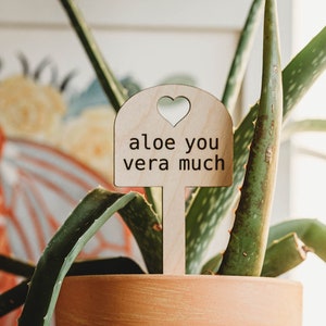 Aloe you vera much indoor garden plant labels