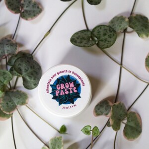 Puede incluir: Un tarro blanco con una etiqueta rosa y azul que dice "GROW PASTE" y "stimulate new growth in houseplants". El tarro es de 0,25 oz / 7,4 ml. El tarro est&aacute; rodeado de hojas verdes y blancas variegadas.