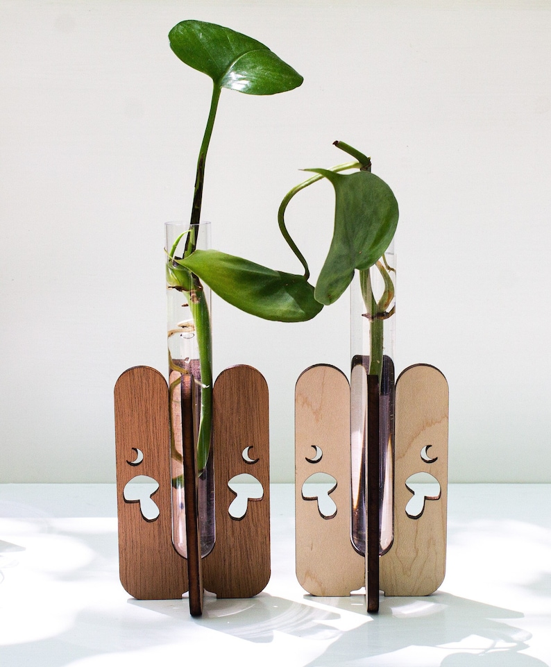 Mushroom shaped tabletop propagation stations with green philodendron rooting in water