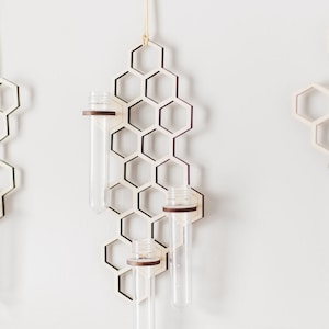 Wall hanging wooden honeycomb propagation station with three test tubes