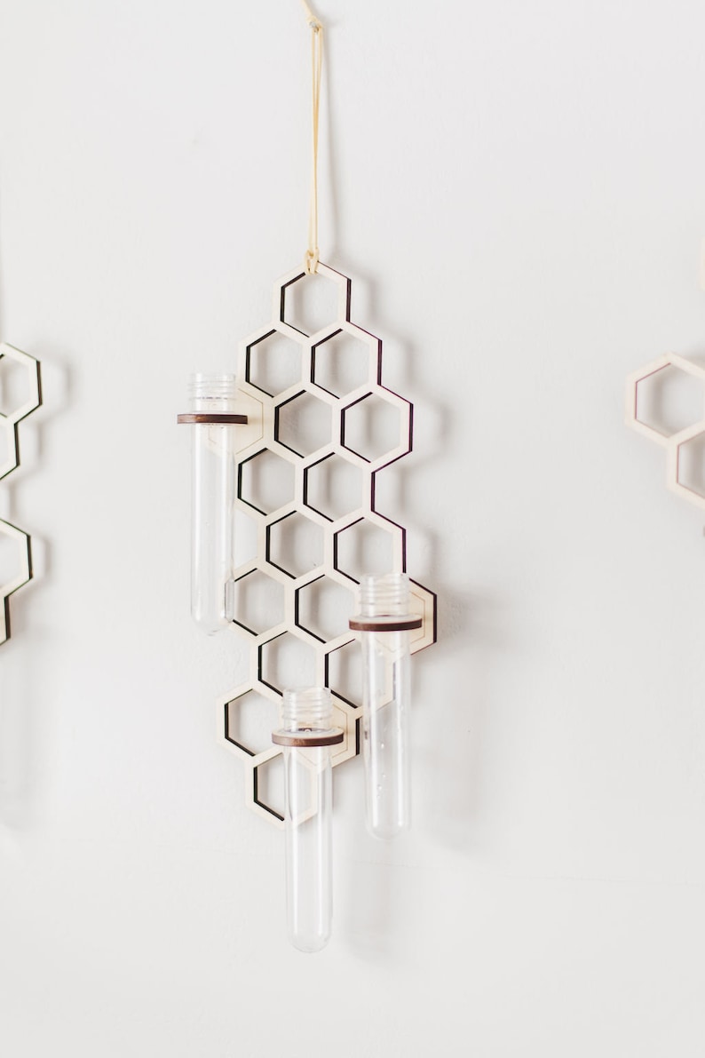 Wall hanging wooden honeycomb propagation station with three test tubes