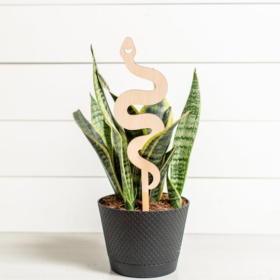 Snake Plant Trellis  Decorative Indoor Houseplant Support - Choose a Size  - Etsy