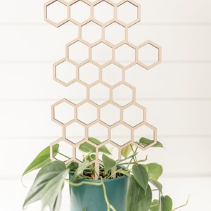 A green houseplant with vining leaves in a blue planter with a wooden laser cut honeycomb trellis