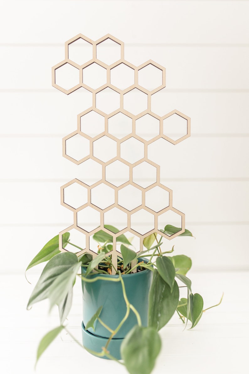 A green houseplant with vining leaves in a blue planter with a wooden laser cut honeycomb trellis