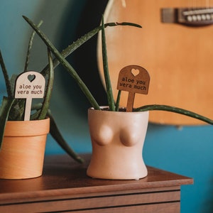 potted aloe plants in a boob planter and plain terracotta planter with aloe you vera much plant signs