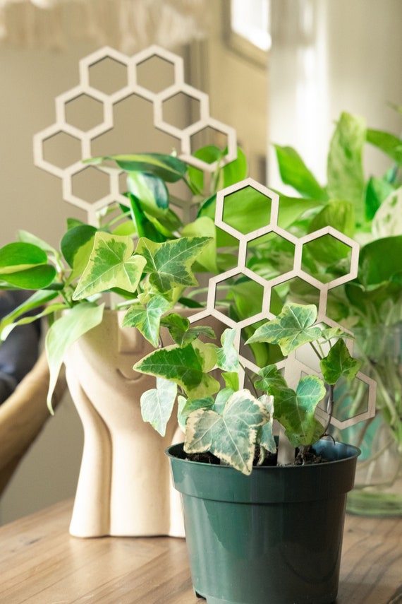 Trellis for Climbing Plants Houseplant Trellis Indoor Plant Etsy UK