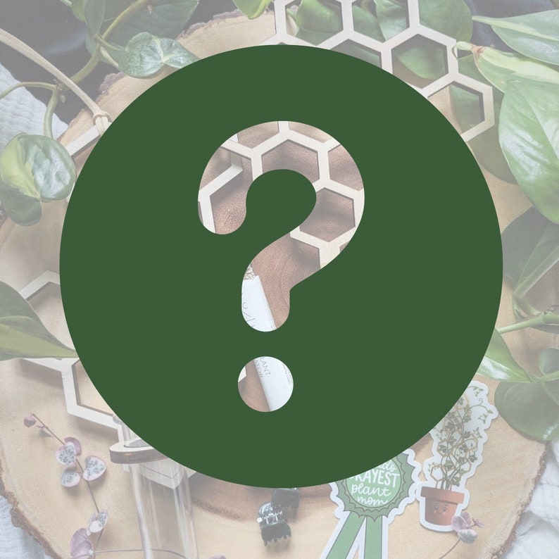 Plant Accessory Mystery Box Cottagegore Mystery Houseplant Etsy
