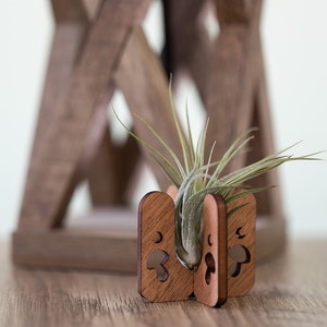 mushroom air plant stand holding a small tillandsia air plant