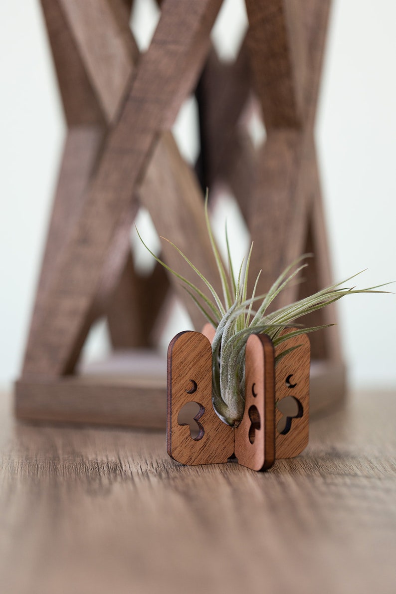 mushroom air plant stand holding a small tillandsia air plant