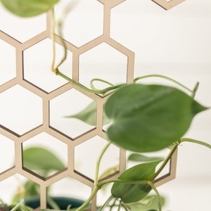 Close up of wooden honeycomb trellis and a heart shaped green leaf