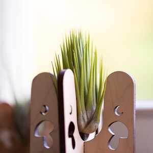 Mushroom air plant holder to decorate your home