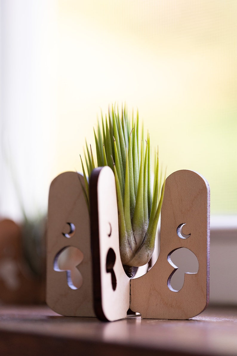 Mushroom air plant holder to decorate your home