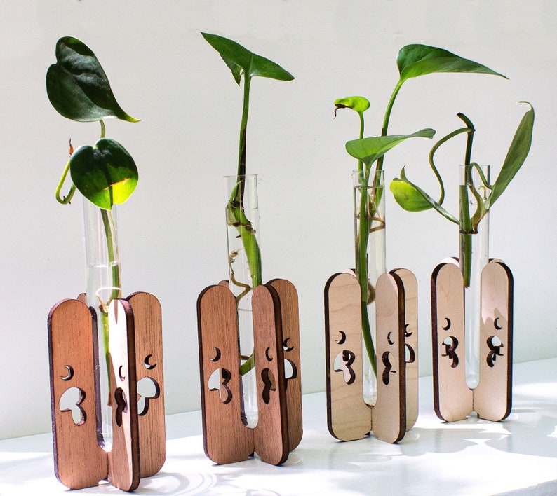 Mushroom Propagation Station Bundle & Save, Choose your wood stain Gifts for Plant Lovers image 2