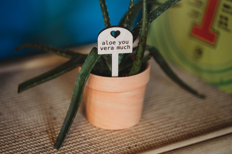 Aloe you vera beaucoup, Panneau de jardin Cadeaux pour les amoureux des plantes Blonde Wood