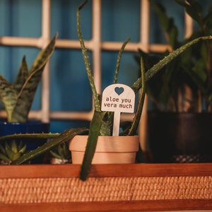 A potted houseplant with a wooden garden sign with a cut out heart that reads aloe you vera much