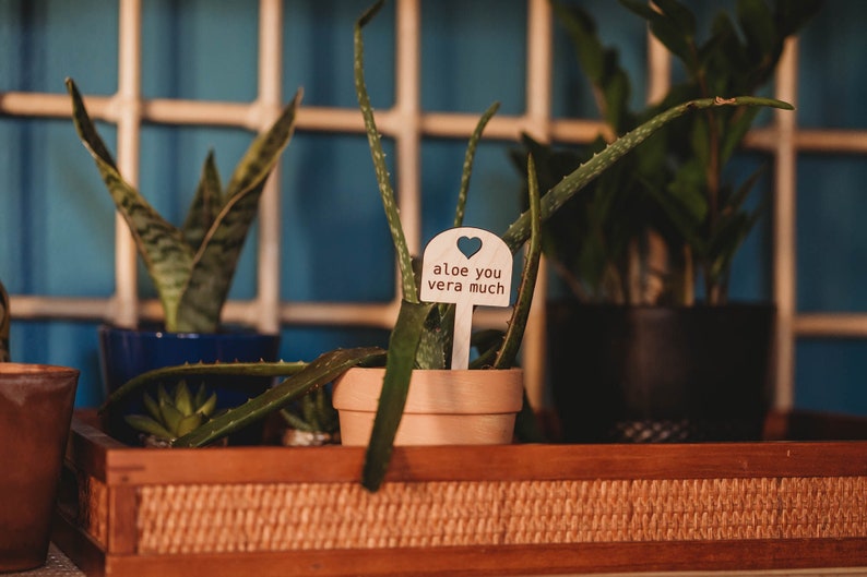 A potted houseplant with a wooden garden sign with a cut out heart that reads aloe you vera much