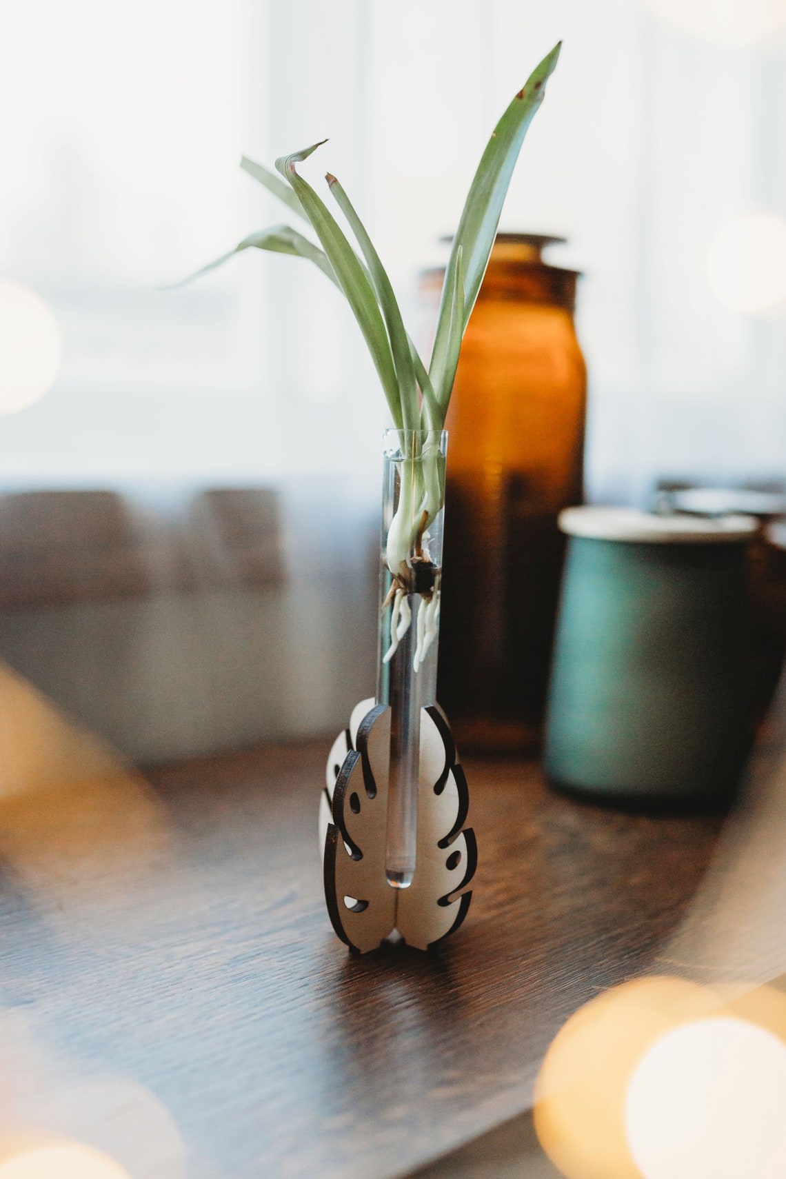 Plant Propagation Aesthetic Plant Hydroponic Planter Etsy