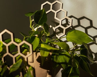 May include: A houseplant in a beige ceramic pot with a wooden trellis in a honeycomb design. The plant has large green leaves. The trellis casts a honeycomb shadow on the wall behind the plant.
