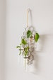 Large Hanging Propagation Station, Wall Propagation Station, Bud Vase, Plant Propagation, Plant Accessories, Plant Lover Gift, 