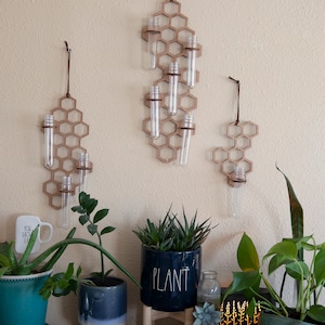 Set of three dark wooden honeycomb propagators on a wall with plants.