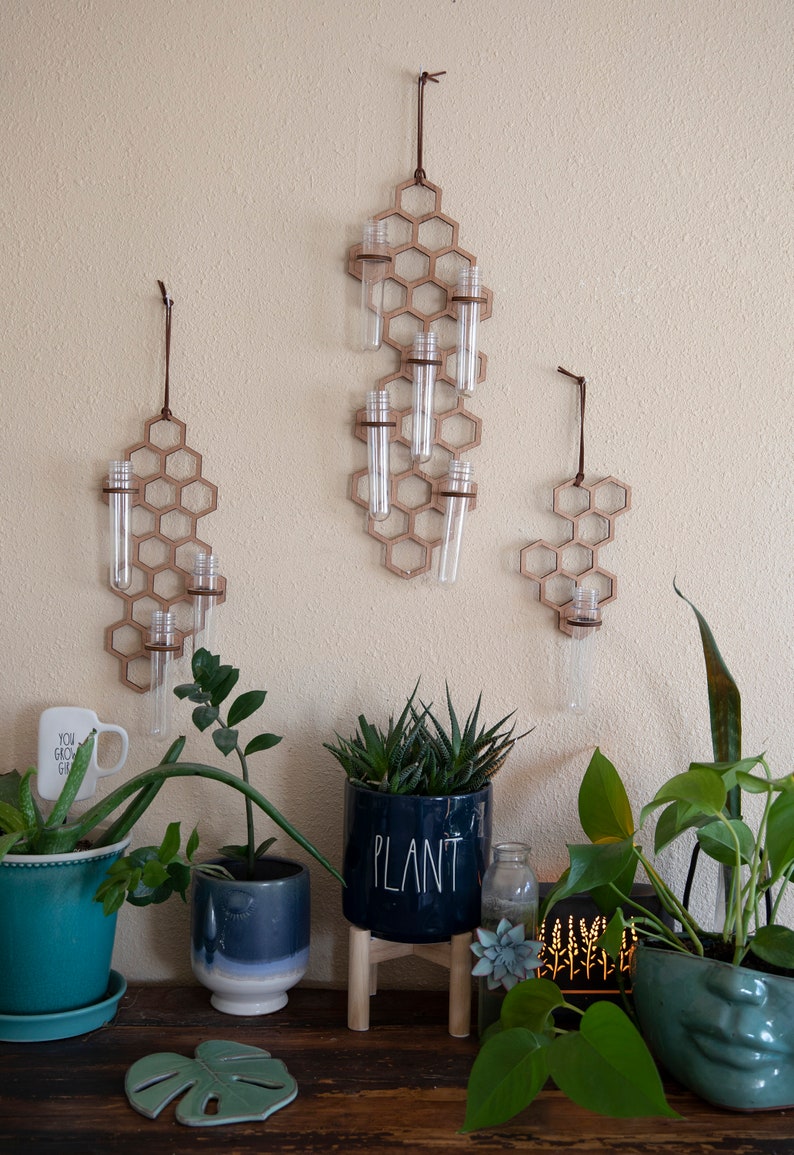 Set of three dark wooden honeycomb propagators on a wall with plants.