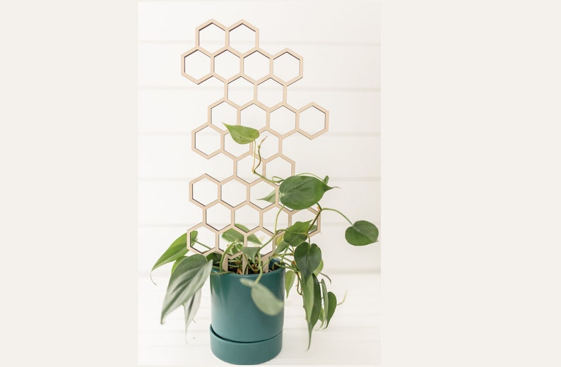 a heart leaf philodendron in a blue planter climbing a wooden honeycomb trellis