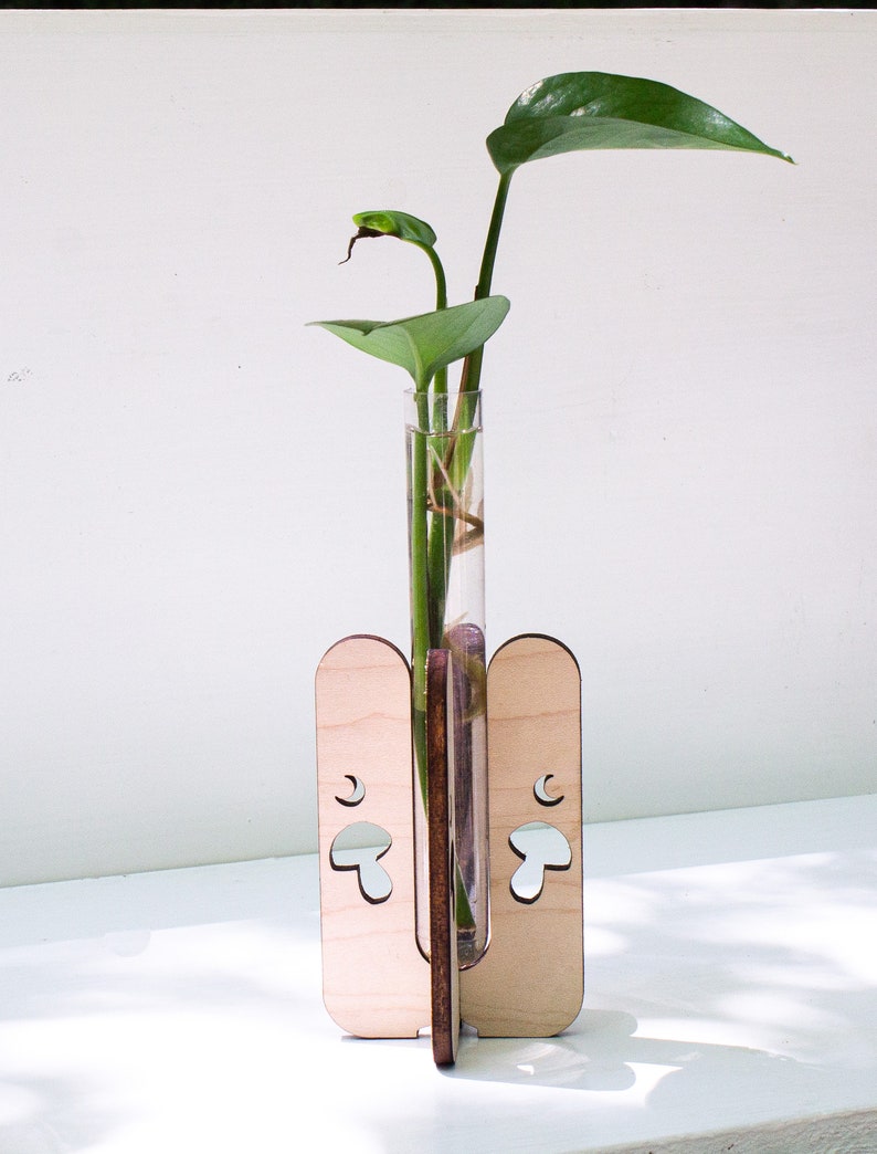 Station de propagation des champignons Regroupez et économisez, choisissez votre teinture à bois Cadeaux pour les amoureux des plantes Blonde Wood