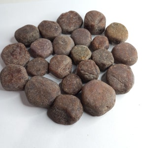 May include: A collection of 20 smooth, dark brown, rounded stones. The stones are arranged in a circle on a white surface.