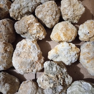 May include: A collection of beige and white geode crystals with a rough, textured surface. The crystals are various sizes and shapes, and some have a slight yellow tint.
