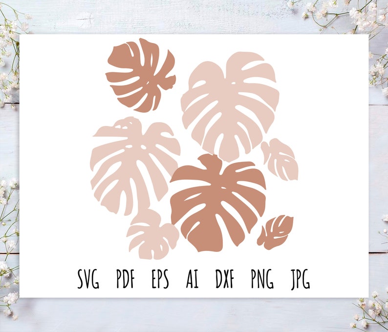 Download Light Monstera SVG Cut File Leaves Vector Files Svg ...