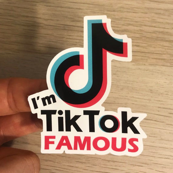 I'm Tik Tok FAMOUS Vinyl Decal Sticker Car Bumper Window Etsy
