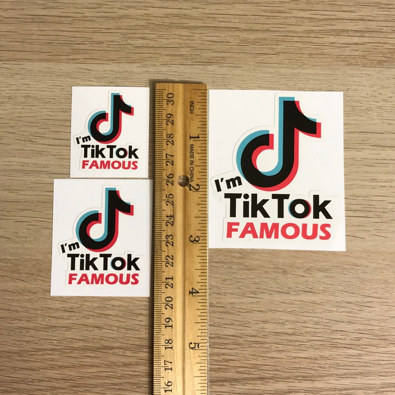 I'm Tik Tok FAMOUS Vinyl Decal Sticker Car Bumper Window Etsy