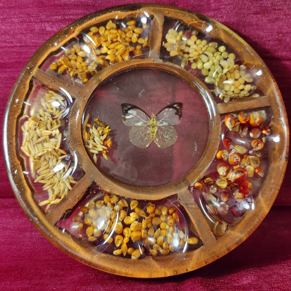 1970's Lucite/Acrylic Deviled Egg Plate With Dried Seeds Corn Rice Butterfly Cottagecore Fairycore Serving Platter