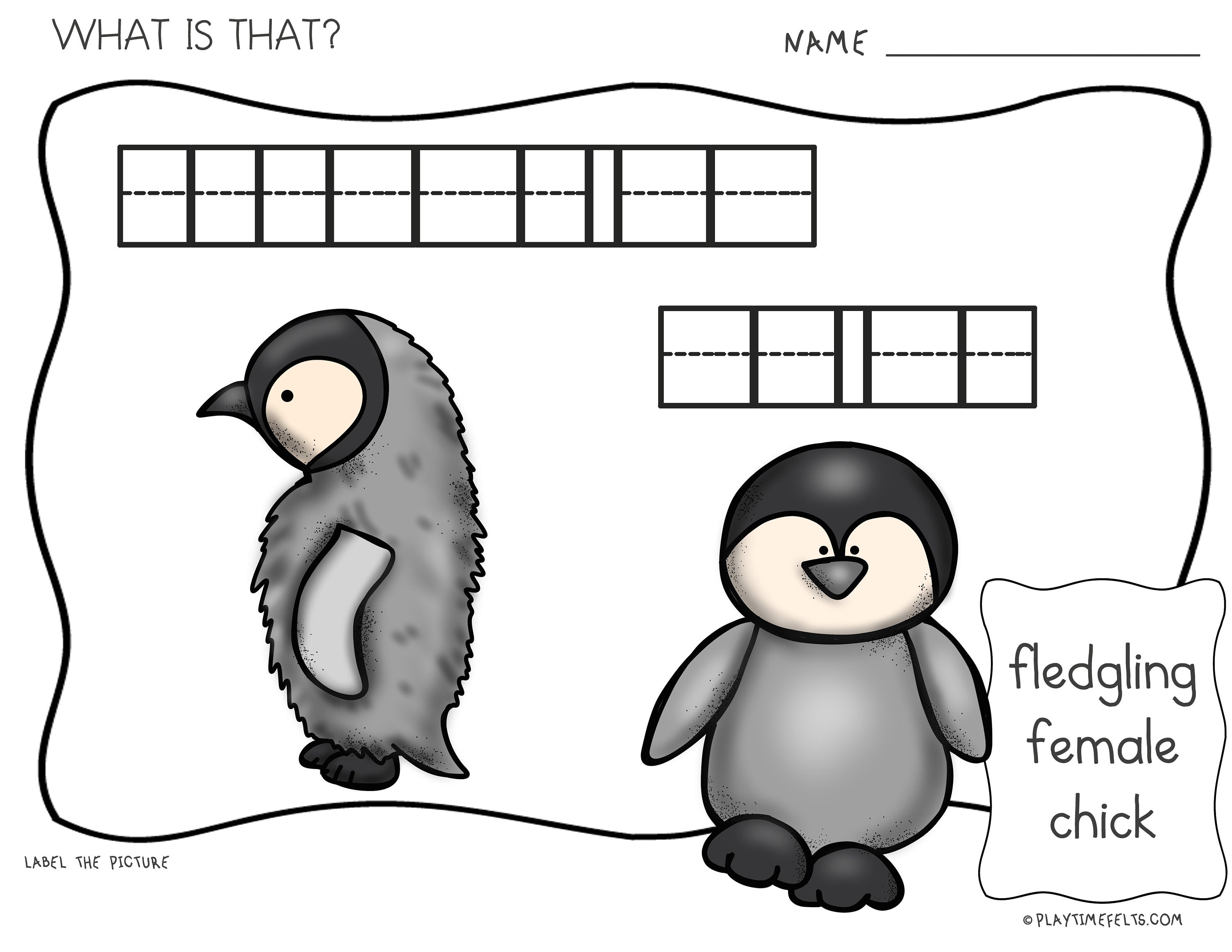 Penguin Life Cycle Prek Printable Worksheets - Etsy UK
