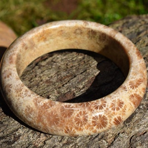 May include: A beige and brown fossilized coral bangle bracelet. The bracelet is smooth and polished, with a natural, organic pattern.