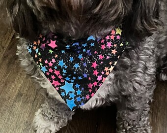 star pet bandana