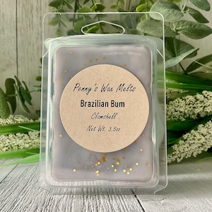 Brazilian Bum 62 Wax Melt, Strong Scented Wax Melt Cubes, 3.5 oz Large Clamshell, Sol Janeiro Type Bum Bum
