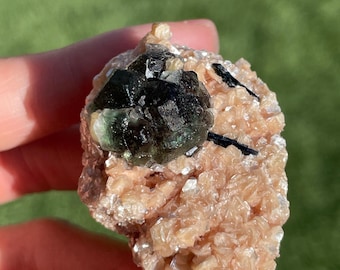 Op de afbeelding: Een natuurlijk mineraal specimen met een cluster van perzik-gekleurde kristallen met een donkergroene en zwarte kristalformatie. Het mineraal wordt in een hand gehouden tegen een vage groene achtergrond.